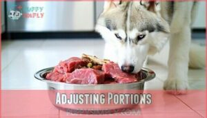 adjusting portions