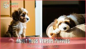 adult dogs versus puppies