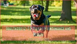adulthood (2–7.5 years): maintenance and health