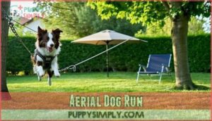 aerial dog run