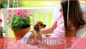 affection and loyalty