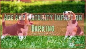 age and maturity impact on barking