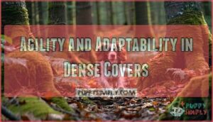 agility and adaptability in dense covers