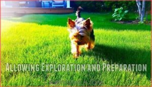 allowing exploration and preparation