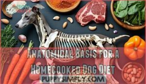 anatomical basis for a homecooked dog diet