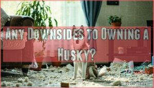 any downsides to owning a husky