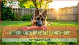 appropriate bone size and shape