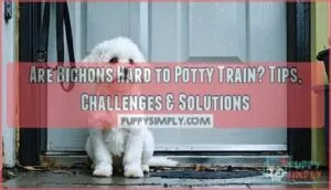 are bichons hard to potty train