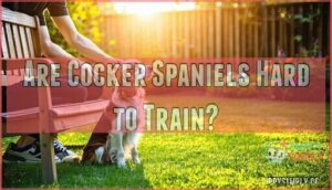 are cocker spaniels hard to train