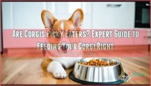 are corgis picky eaters