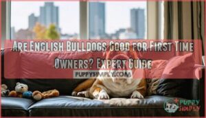 are english bulldogs good for first time owners