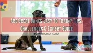are great danes easy to train