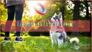 are huskies easy to train