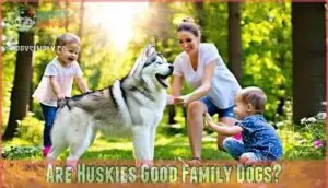 are huskies good family dogs