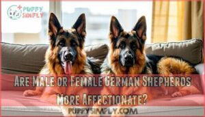 are male or female german shepherds more affectionate