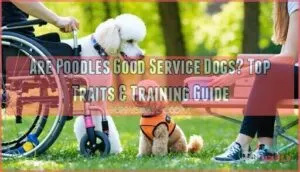 are poodles good service dogs