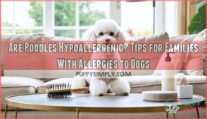 are poodles hypoallergenic tips for families with allergies