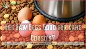 are raw eggs good for cane corso's