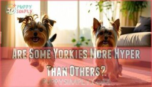 are some yorkies more hyper than others