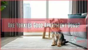are yorkies good apartment dogs