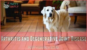 arthritis and degenerative joint disease