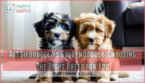 aussiedoodle vs goldendoodle: choosing the right breed for you