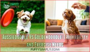 aussiedoodle vs goldendoodle: trainability and exercise needs