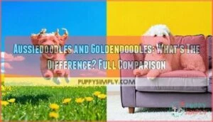 aussiedoodles and goldendoodles whats the difference