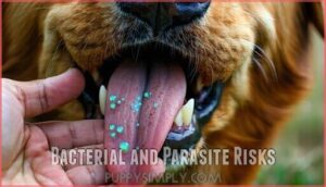 bacterial and parasite risks