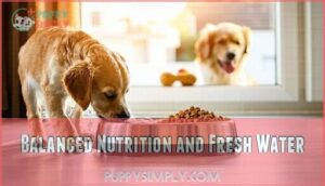 balanced nutrition and fresh water