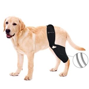 BaoGuai Knee Brace for Dogs B0FL2SR488