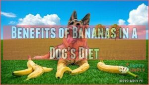 benefits of bananas in a dog's diet