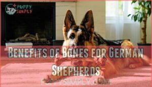 benefits of bones for german shepherds