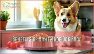 benefits of homemade dog food