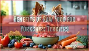 benefits of raw food for yorkshire terriers