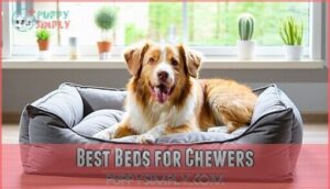 best beds for chewers