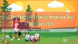 best dog food for bernese mountain dogs