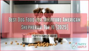 best dog food for miniature american shepherds