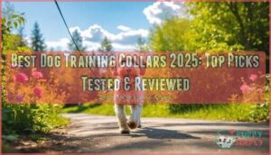 best dog training collar