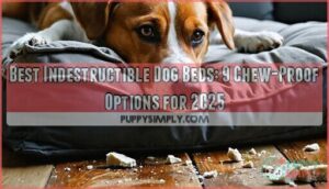 best indestructible dog beds