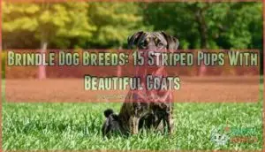 brindle dog breeds