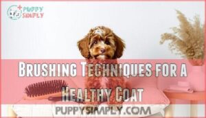 brushing techniques for a healthy coat