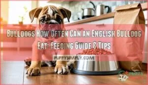 bulldogs how often can an english bulldog eat