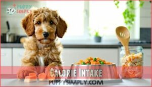 calorie intake