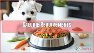 calorie requirements