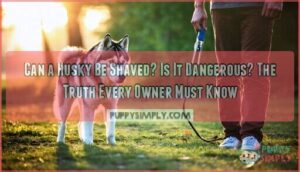 can a husky be shaved is it dangerous