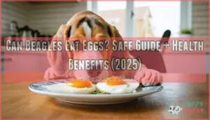 can beagles eat eggs