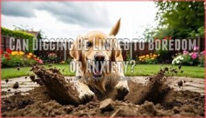 can digging be linked to boredom or anxiety