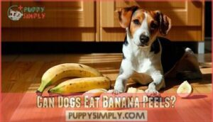 can dogs eat banana peels