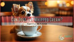 can dogs eat whipped cream
